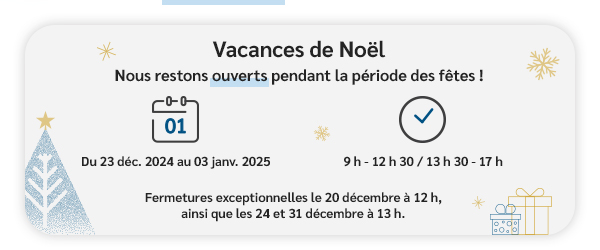 Vacances de Noël