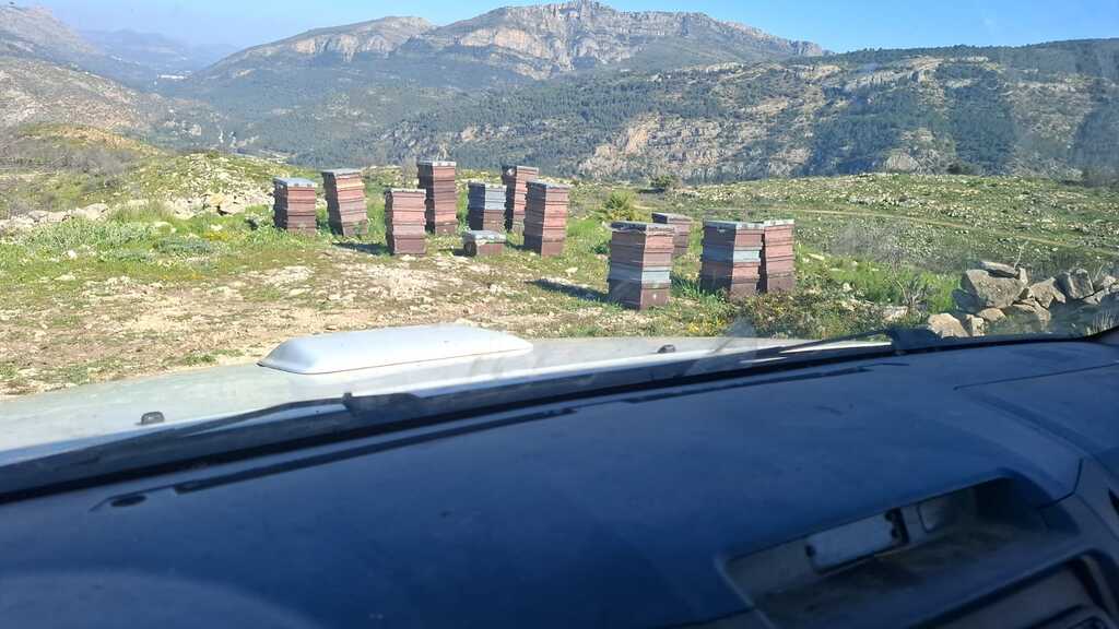 Colmenas de miel de romero en Sierra Mariola