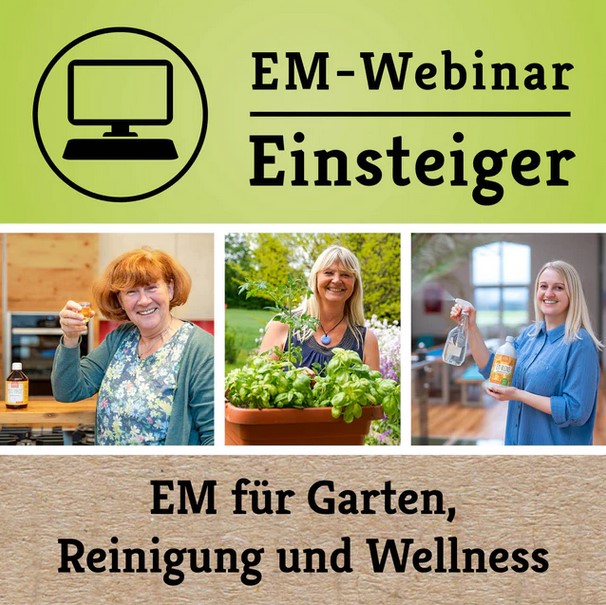 EM Einsteiger Webinar