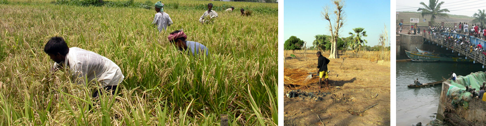 Of fertilizers and immigration