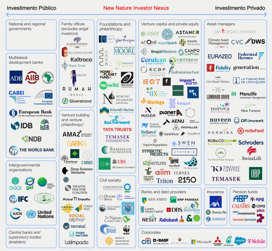 Gráfico com fundo cinza e quadros com logotipos de diferentes fundos de investimento e empresas de fomento dos setores público e privado. O título da imagem é New Nature Investor Nexus