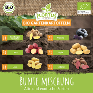BIO Gartenkartoffeln Bunte Mischung (12 Stück)