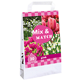 Blumenzwiebelmischung Mix & Match Pink (35 Stück)