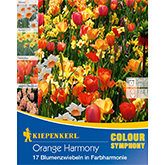 Colour Symphony Orange Harmony (17 Stück)
