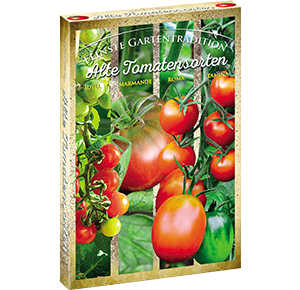 Alte Tomatensorten Set (Idyll, Marmande, Roma, Tamina)