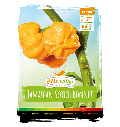 Chili Jamaican Scotch Bonnet