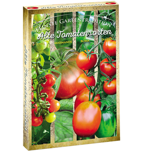 Alte Tomatensorten Set