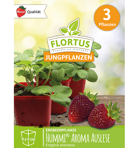 Hummi® Aroma Auslese