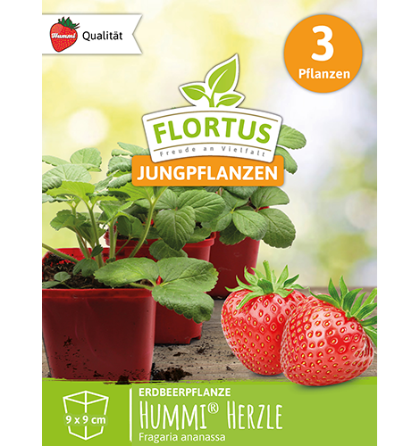 Hummi® Herzle