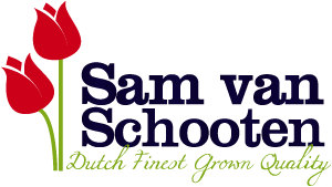 Sam van Schooten