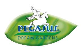 Pegasus