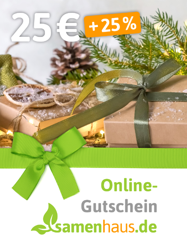 25 € + 25% Gutschein