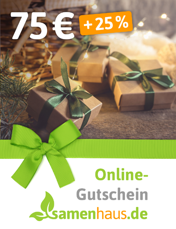 75 € + 25% Gutschein