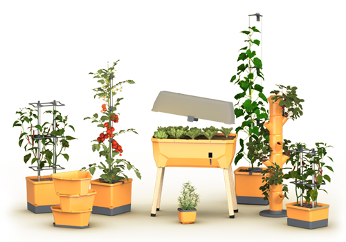 Gusta Garden Honey