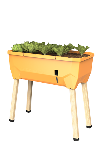 SAMMY SALAD Hochbeet honey (ohne Haube)