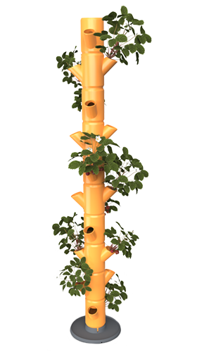 SISSI STRAWBERRY Erdbeerturm infinity honey (10 Etagen)
