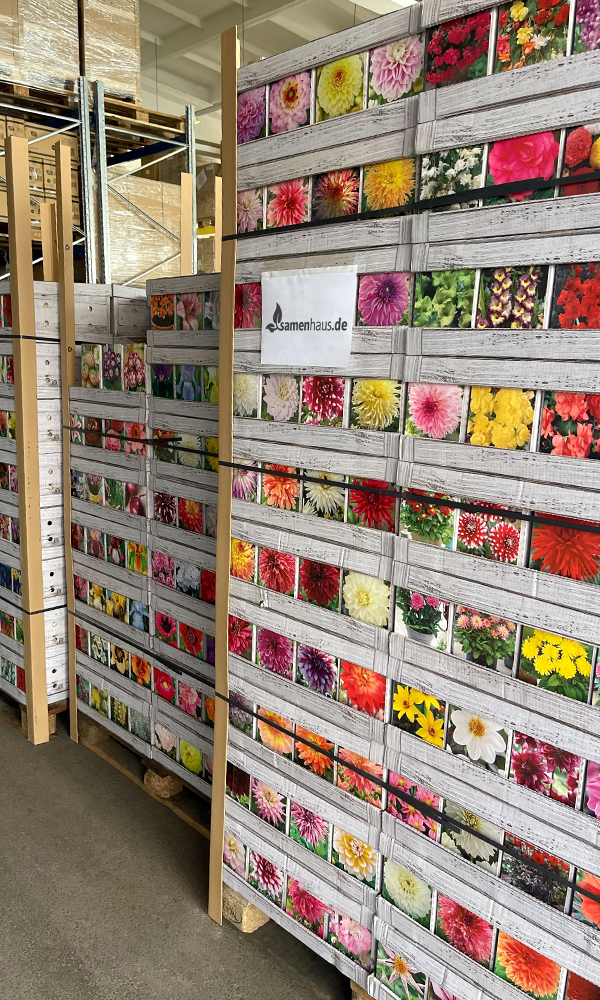 Blumenzwiebellieferung