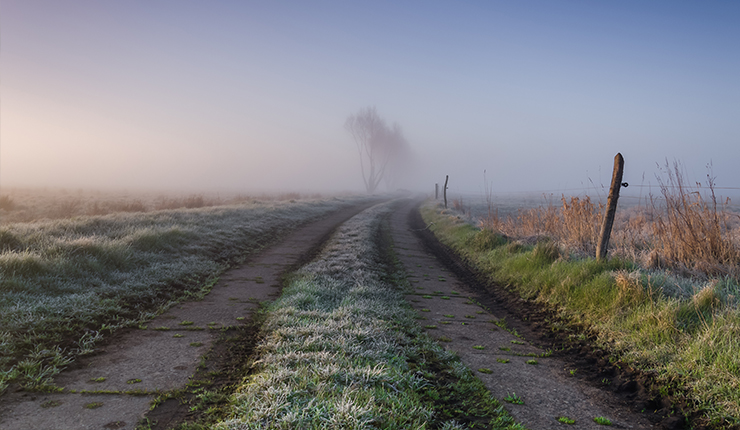 Nebliger Frühlingsmorgen mit Bodenfrost