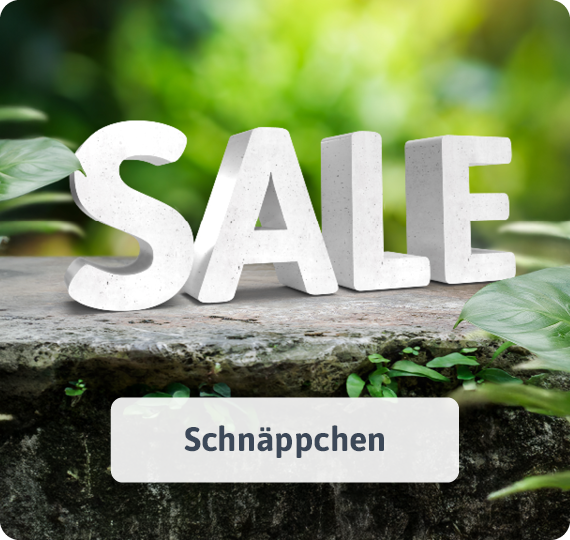 Schnäppchen