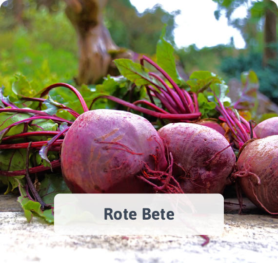 Rote Bete