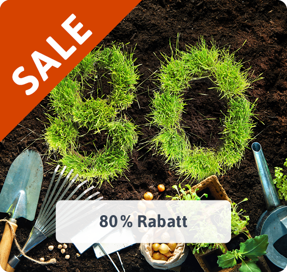 80% Rabatt
