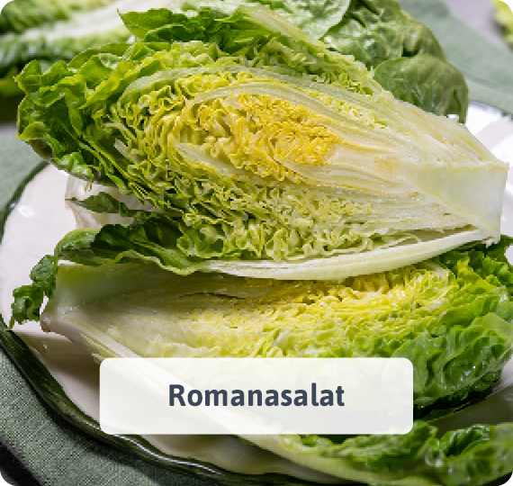 Romanasalat