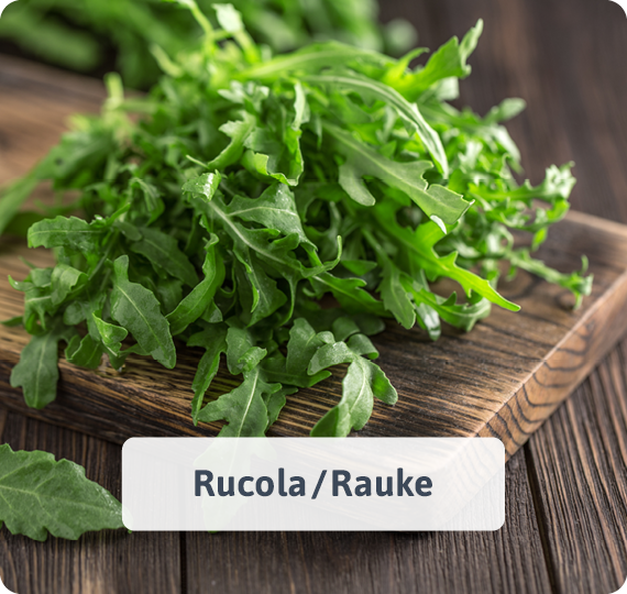 Rucola/Rauke