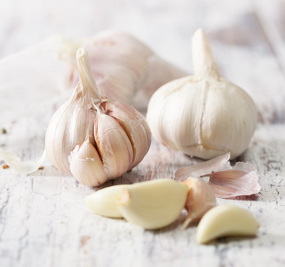 Pflanzknoblauch Messidrome
