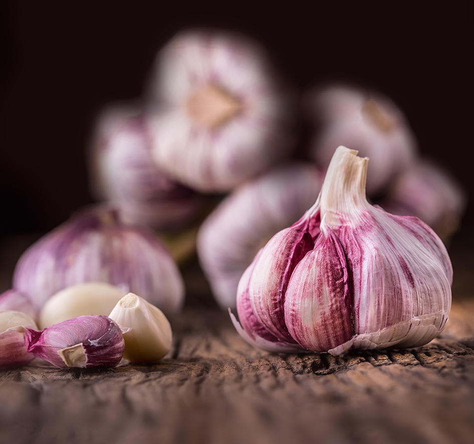 Pflanzknoblauch Violett de Lautrec