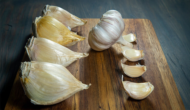 Elefantenknoblauch
