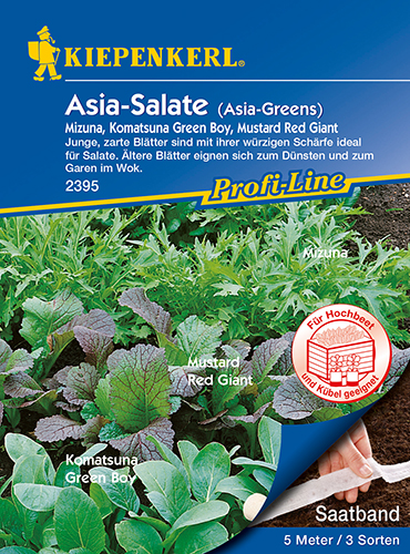 Asia Salate Mizuna, Komatsuna, Red Giant