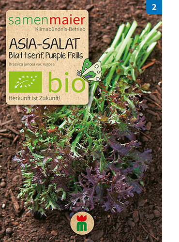Asia Salat Purple Frills