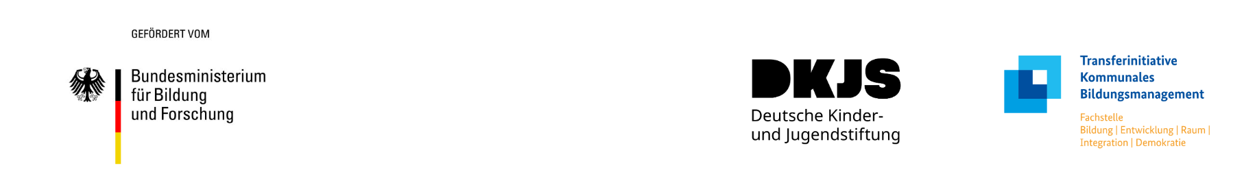 Logo der Deutschen Kinder- und Jugendstiftung