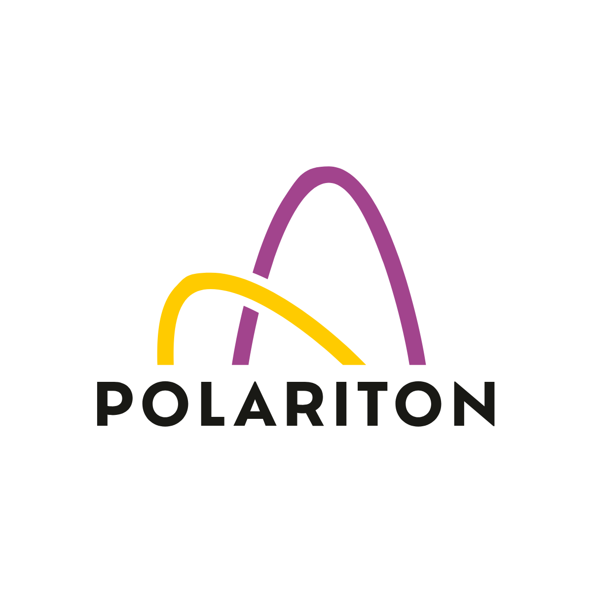 Polariton Logo
