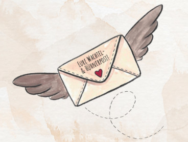 Newsletter Wachtel-Shop