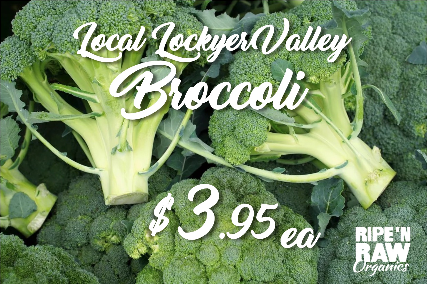 broccoli-special