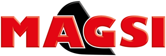 Logo Magsi