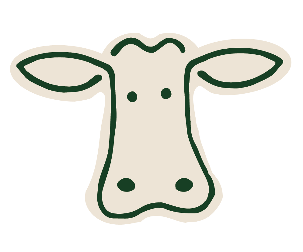 Stylised illustration of a cows head