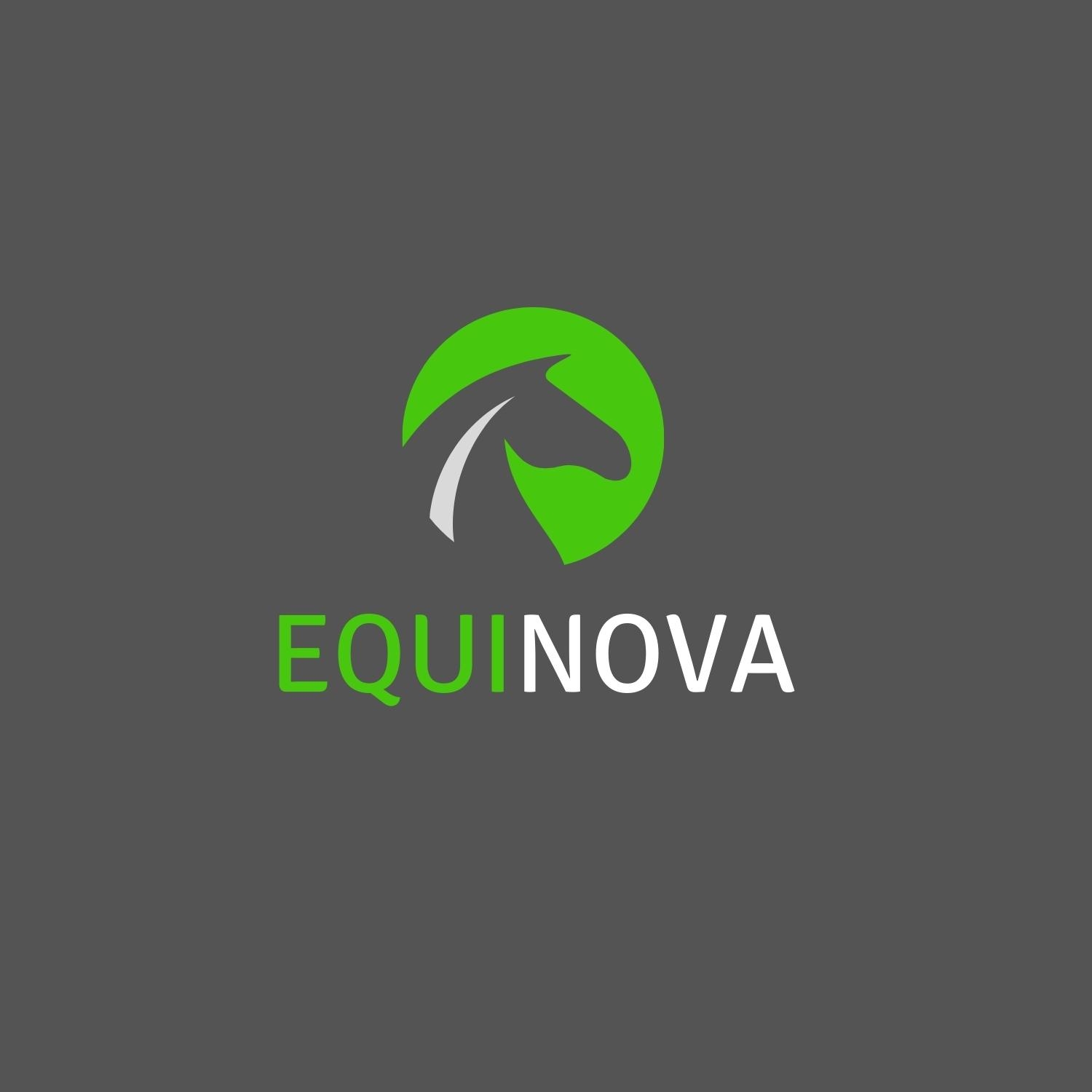 Logo Equinova