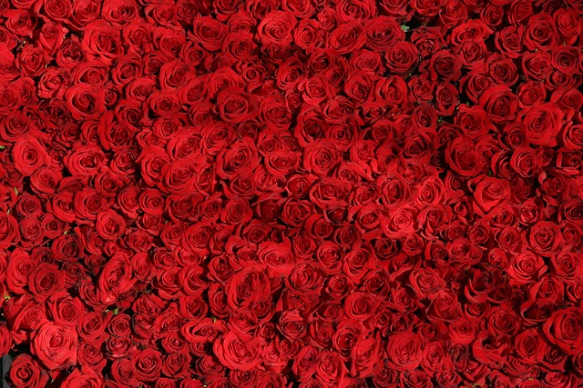 Les roses rouges