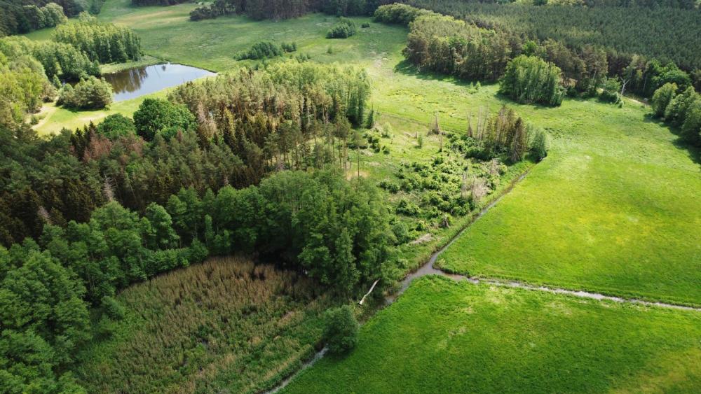 FRESHWATER NEWS | January 2026