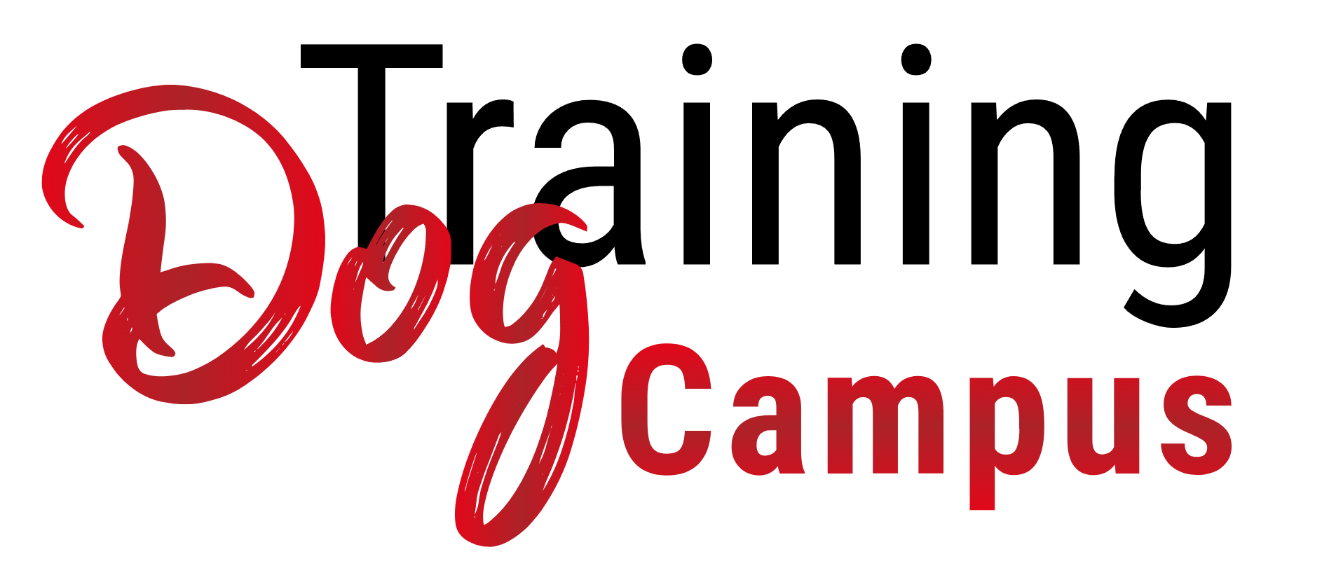 Dog Training Campus