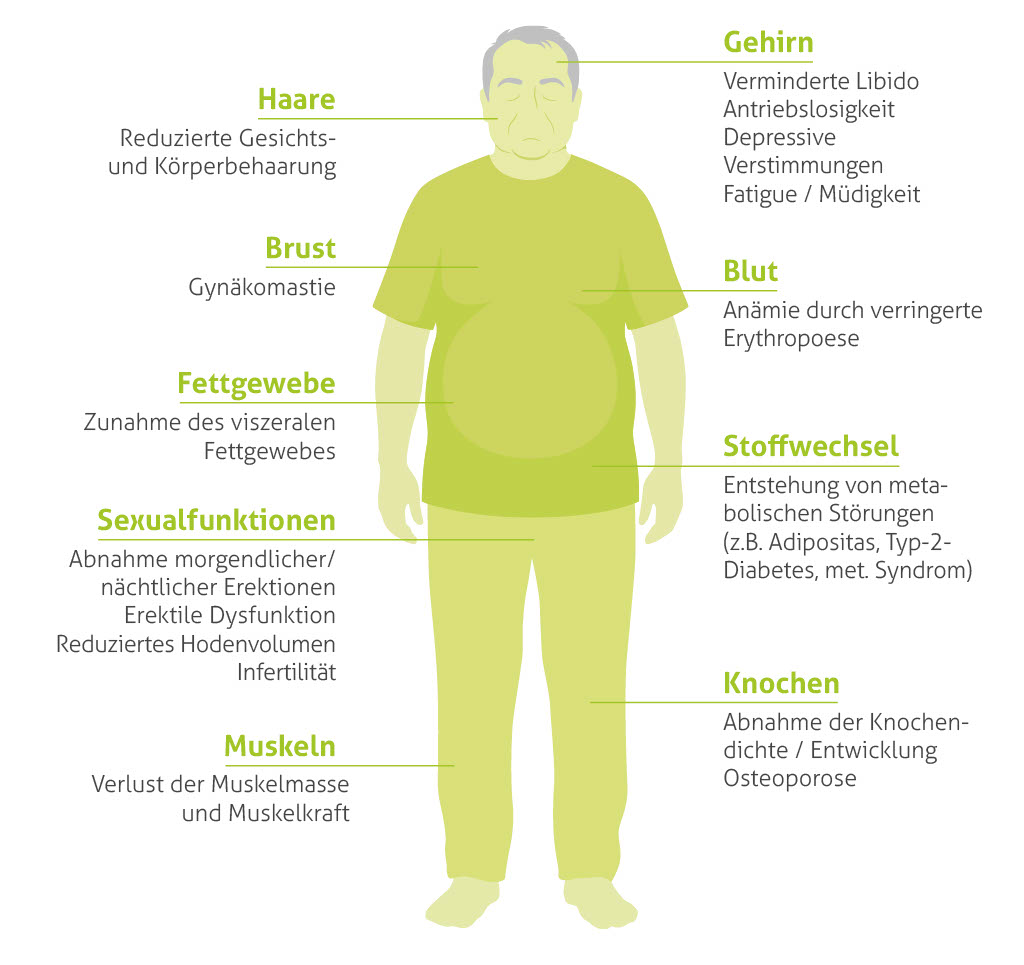Typische Symptome des Testosteronmangels
