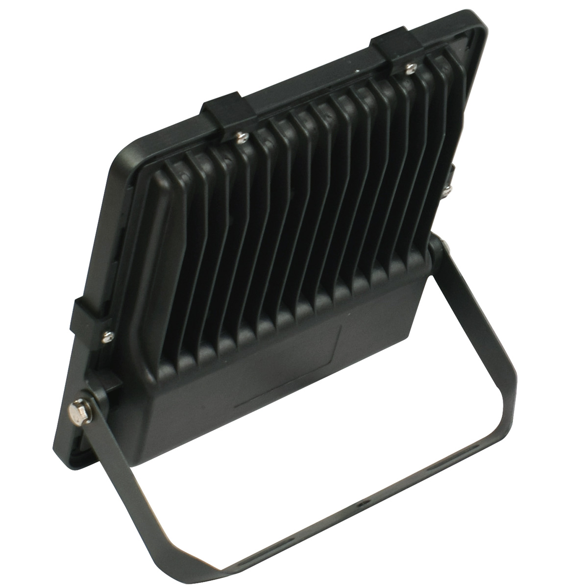 PAD V2 100 Watts - 2