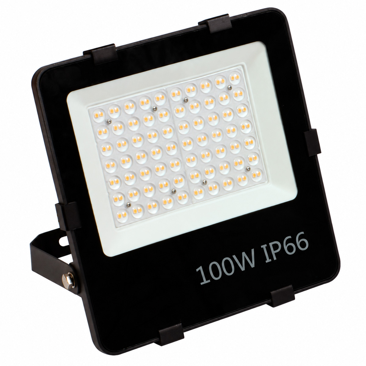 PAD V2 100 Watts - 1