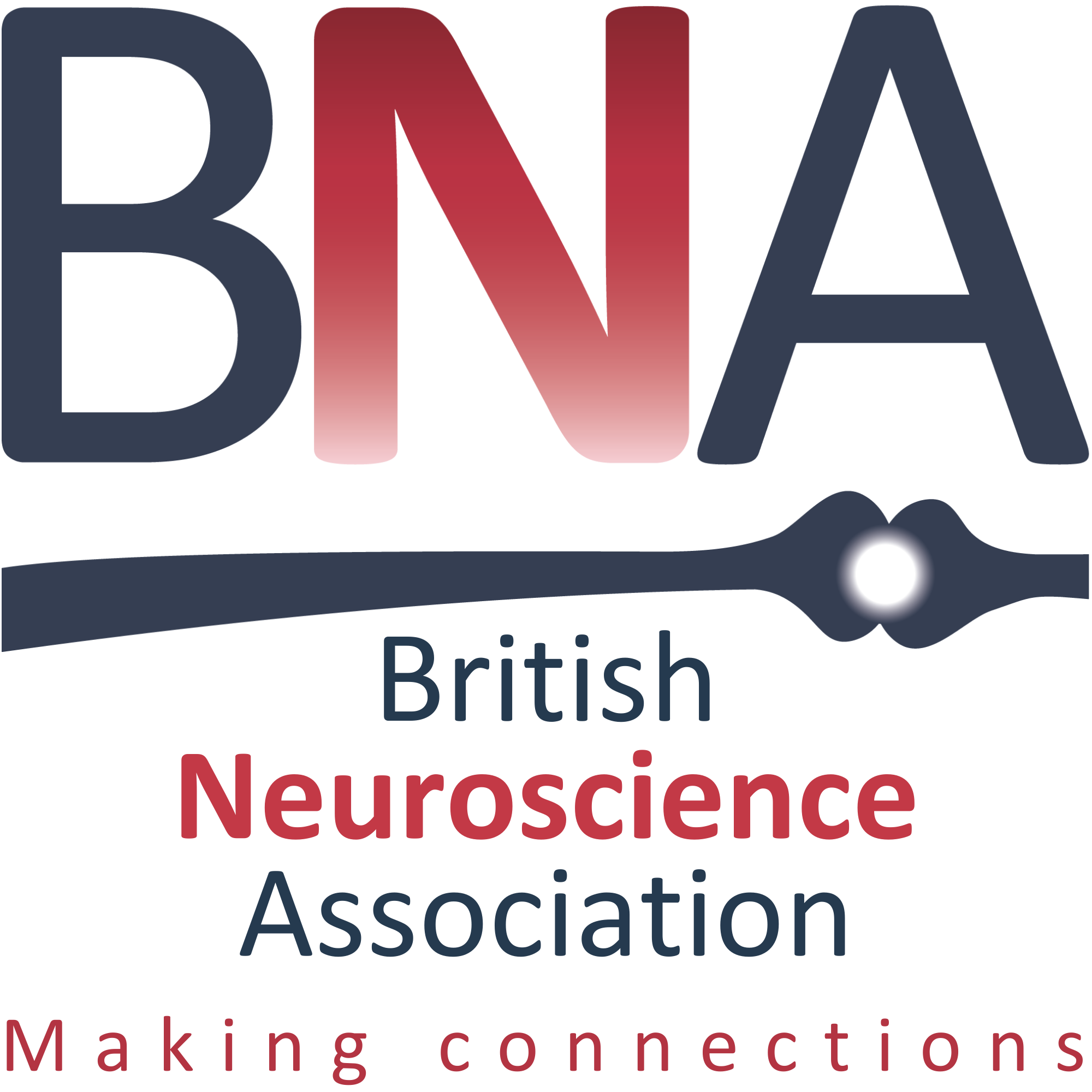 The British Neuroscience Association: Making Connections