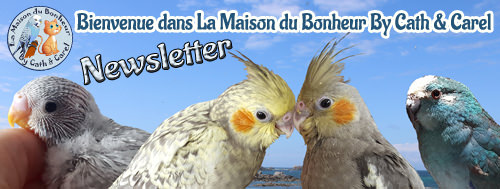 Newsletter La Maison du Bonheur By Cath & Carel