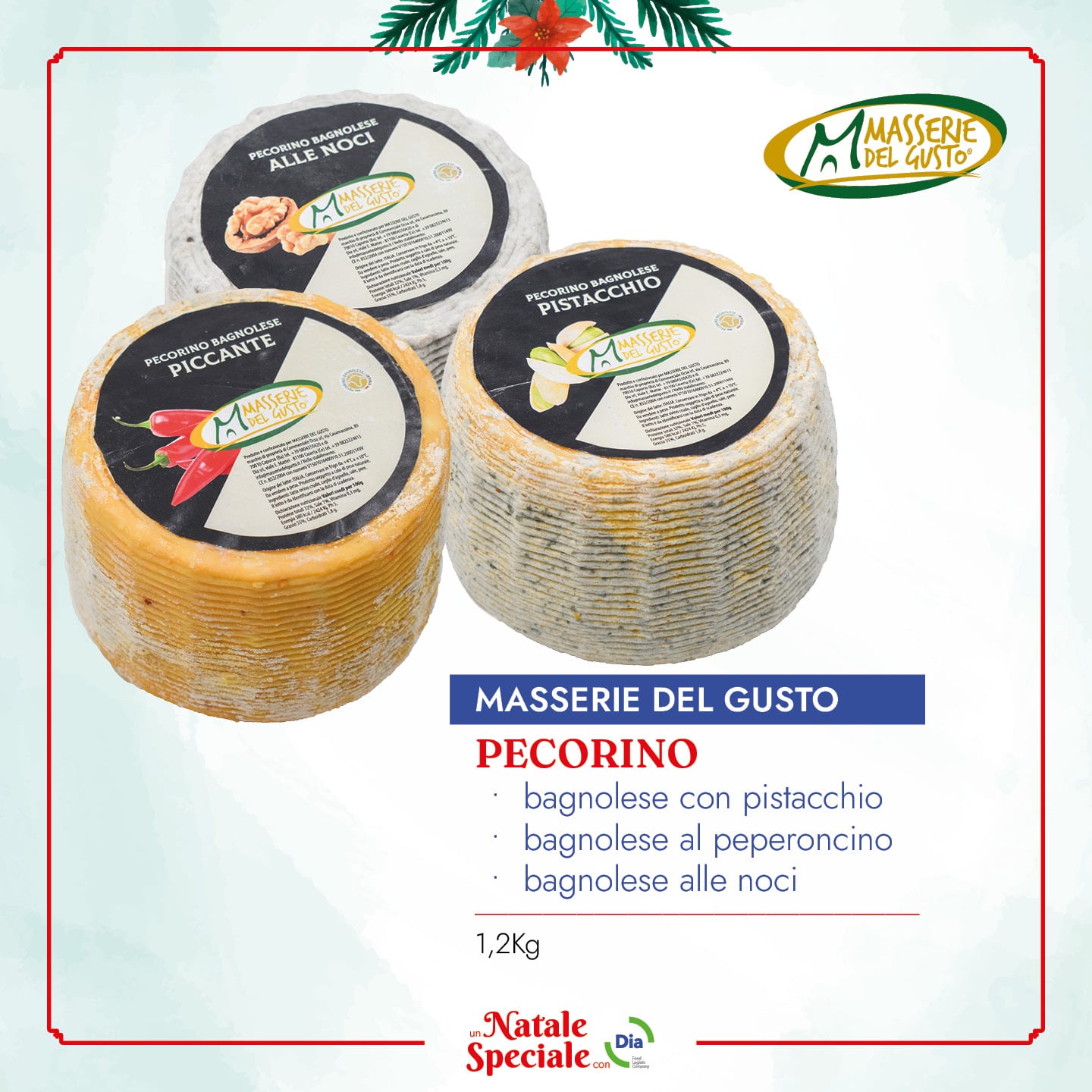 Pecorino Noci, Pistacchio e peperoncino Masserie del Gusto Natale con Dia 2022