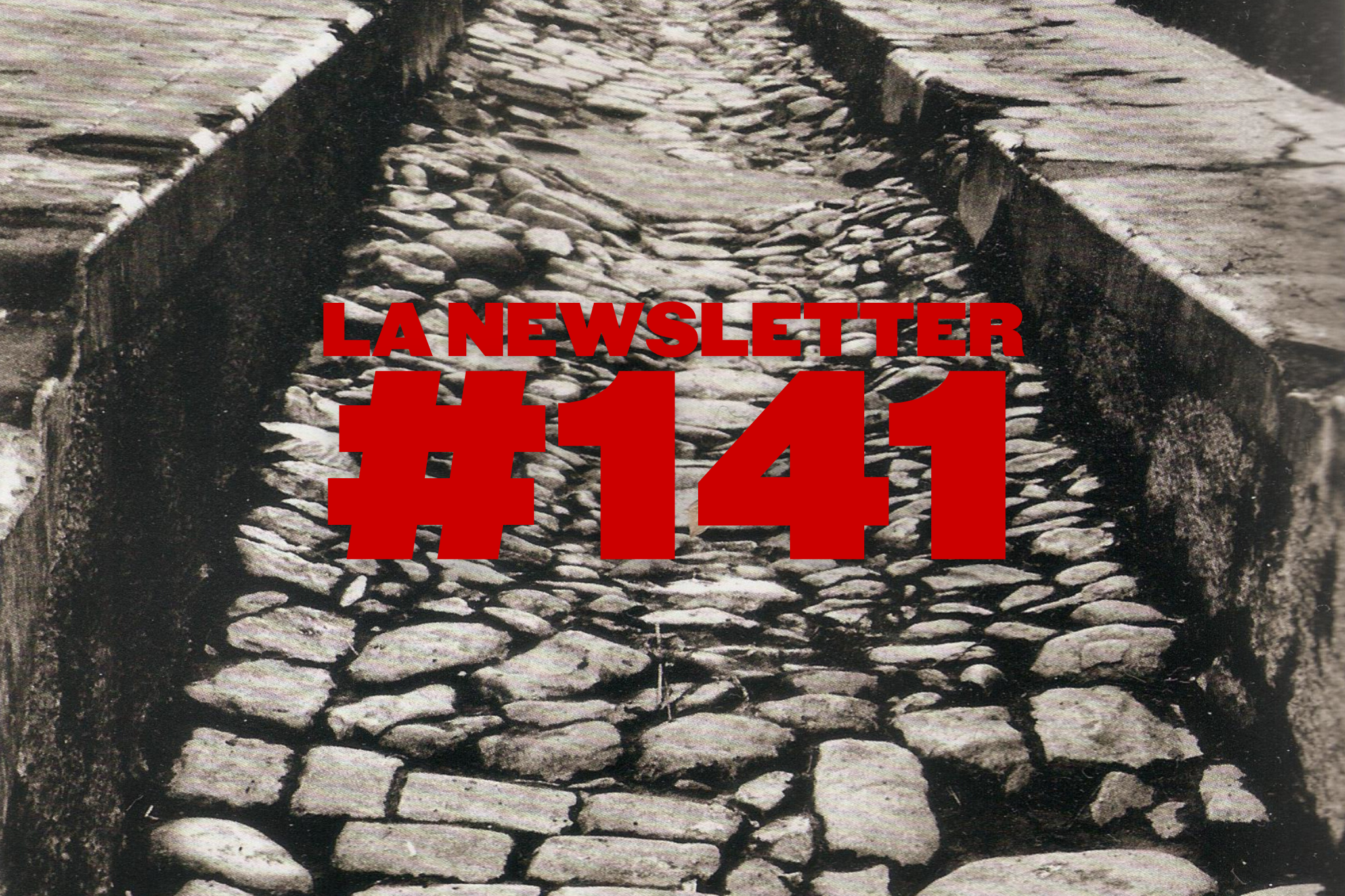 NL 141 - Antifa, fissurer le béton, stop recherche complice