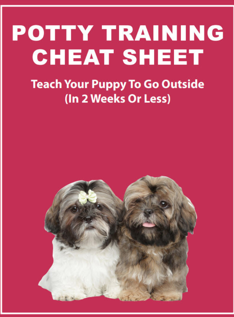 Shih Tzu Puppy Training Guide